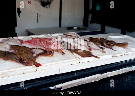 Freshly Caught Fish On A Fish Stall England Stock Photo