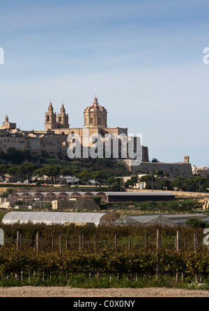 View across countryside towards St Pauls Cathedral in the Maltese town of Mdina Stock Photo