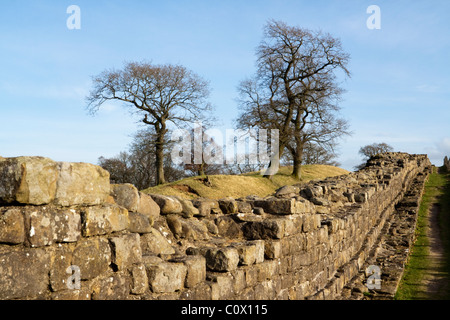 View along part of Hadrian's Wall with the Hadrian's Wall National Path running alongside Stock Photo