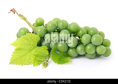 Fresh grape fruits with green leaves isolated Stock Photo