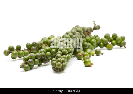 Unprocessed fresh green peppercorns over white background Stock Photo