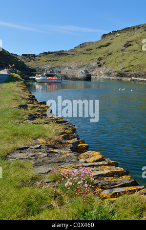 Boscastle Harbour on the North Cornwall coast, England. Stock Photo