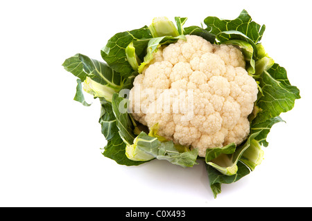 Fresh white cauliflower with leaves isolated over white Stock Photo