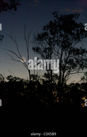 Waxing crescent moon as seen from the southern hemesphere Stock Photo