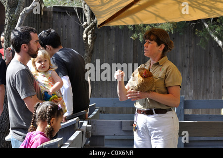 Zoo worker at Fort Worth Zoo, Texas, USA Stock Photo