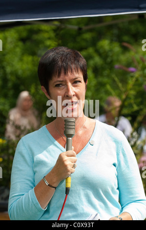 The Social Democratic leader Mona Sahlin Stock Photo