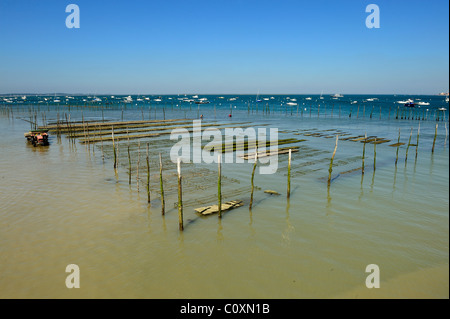 Oyster harvesting beds bordered by poles in an oyster farm in Arcachon Bay, le Cap Ferret, department of Gironde, France Stock Photo