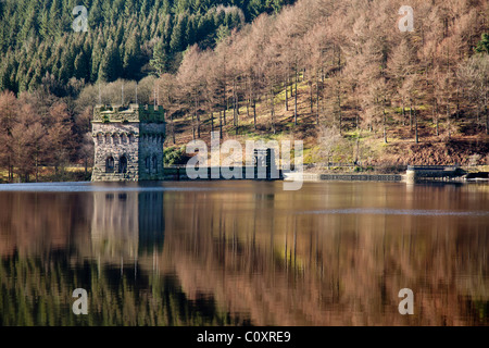 Tree reflected in water at Howden Dam, Upper Derwent Valley Reservoir in the Peak District, Derbyshire, near Ladybower. Stock Photo