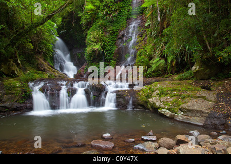 Elabana Falls, Green Mountains section, Lamington National Park, Queensland, Australia Stock Photo