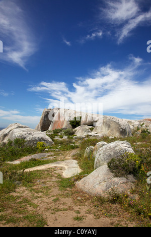 Lichen-encrusted boulders in the West Coast National Park, near Langebaan in the Western Cape, South Africa. Stock Photo