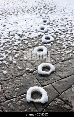 Cat Paw Prints preserved in the thawing snow Stock Photo