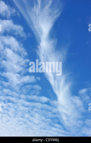 Altocumulus undulatus clouds, Brittany, France Stock Photo