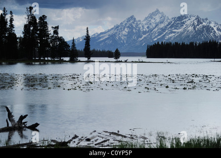 View over Heron Pond just along from Hermitage Point trailhead in Colter Bay, Grand Teton National Park, Wyoming, USA. Stock Photo