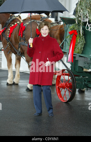 Laura Bush welcomes the White House Blue Room Christmas Tree to the North Portico of the White House.  Washington DC, USA Stock Photo