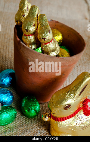 Cute chocolate bunnies - peeping out of an old plant pot - waiting to be found by children on an Easter egg hunt.