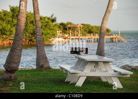 A relaxing bench in the heart of Keys Islands, Florida Stock Photo