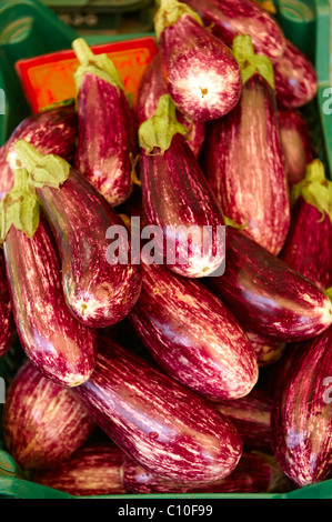 Fresh aubergines or eggplants for sale in a market Stock Photo