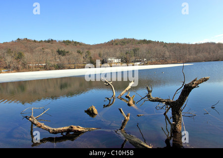 Thawing pond, Cold Spring Harbor, Long Island NY Stock Photo