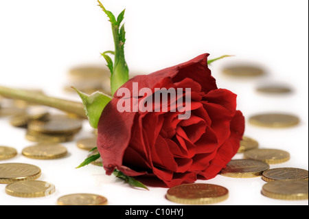 Vibrant red rose lying on stack of Euro coins Stock Photo