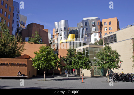 Ray and Maria Stata Center, architect Frank Gehry, MIT, Massachusetts Institute of Technology, Cambridge, New England, USA Stock Photo
