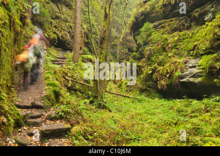 Hikers in the Teufelsgrund gorge, autumn, Saxon Switzerland, Saxony, Germany, Europe Stock Photo
