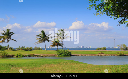 golf course tropical palm trees in cancun Mexico Stock Photo