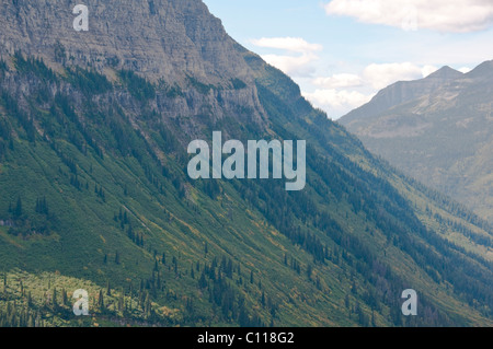 Flathead River,South Fork,Middle Fork,Logans Pass,Going -To- the- Sun -Road,Mountain Scenery,Glacier National Park,Montana,USA Stock Photo