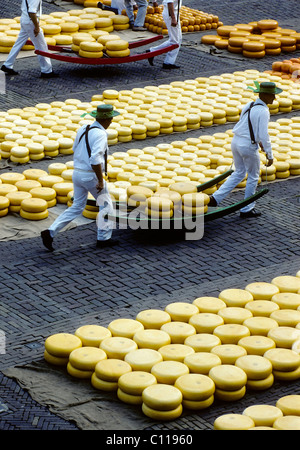 Two men carrying Gouda cheeses on a stretcher at a trot, traditional cheese market in Alkmaar, Holland, Netherlands, Europe Stock Photo