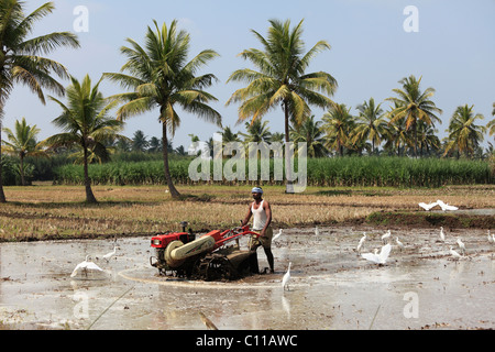 Farmer plowing field with machine, Bannur, Karnataka, South India, India, South Asia, Asia Stock Photo