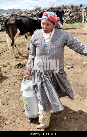 Dairy cow farming, woman with milk churn, Altiplano Bolivian highland, Oruro Department, Bolivia, South America Stock Photo