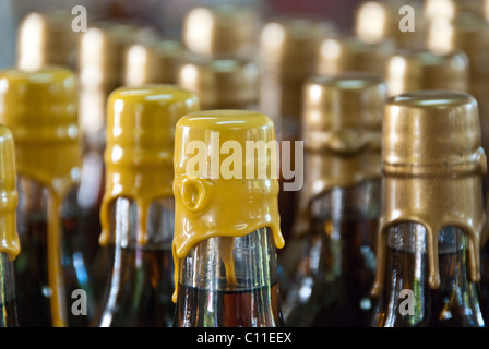 Wine Bottles in Saint Thomas, US Virgin Islands Stock Photo