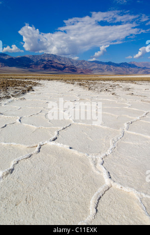 Salt pan polygons Devil's Golf course Badwater road Death Valley National Park, California, USA Stock Photo