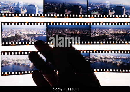 Picture editor examining a selection of panoramic format transparencies held up in a transparent file against a light box Stock Photo