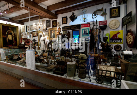 Spessartmuseum museum, Schloss Lohr am Main castle, Lohr am Main, Hesse, Germany, Europe Stock Photo