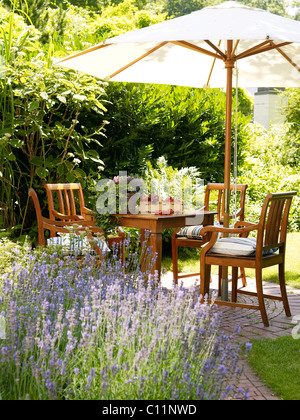 Romantic garden table with lavender bushes in atmospheric sunlight Stock Photo