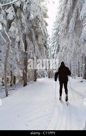 Cross-country skier, classic style, in the snow-covered forest, Gutenbrunn Baernkopf biathlon and cross country ski center Stock Photo