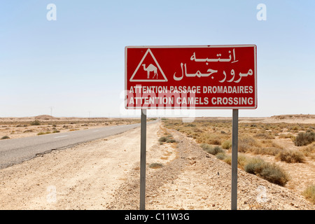 Camel crossing traffic sign in the Sahara, Africa Stock Photo