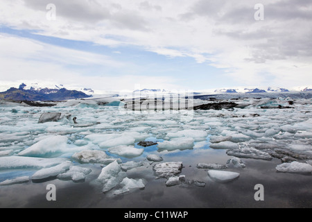 Ice floes in the Joekulsarlon glacier lake, different colours due to volcanic ash, in the back the Vatnajoekull glacier Stock Photo