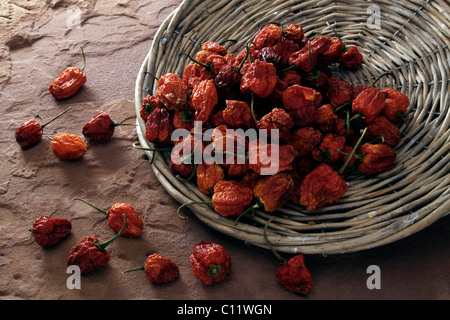 Dried mini peppers (Capsicum), tipped from a wicker plate on sandstone Stock Photo