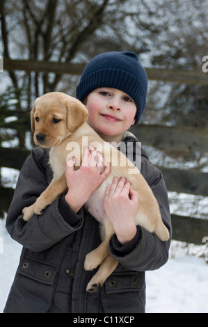 Little boy carrying a Labrador Retriever puppy (Canis lupus familiaris) Stock Photo