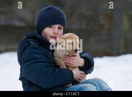 Little boy with a Labrador Retriever puppy (Canis lupus familiaris) Stock Photo