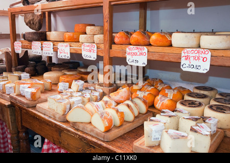 Pecorino cheese in a delicatessen shop, Norcineria Falorni, Greve, Chianti, Tuscany, Italy, Europe Stock Photo