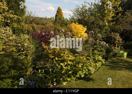 Herbaceous border and shrubs in a domestic suburban back garden Dronfield Derbyshire UK Stock Photo