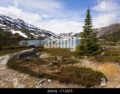 Artifact, historic metal boat frame, Klondike Gold Rush, Deep Lake behind, Chilkoot Trail, Chilkoot Pass, Yukon Territory Stock Photo