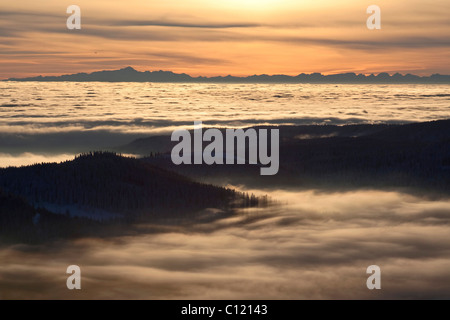 Sunrise over a blanket of fog on Feldberg Mountain, looking towards the Swiss Alps with Saentisgipfel and Churfirsten mountains Stock Photo