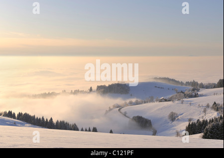 View from Schauinsland Mountain into the snow-covered Muenster Valley, Breisgau-Hochschwarzwald, administrative region of Stock Photo