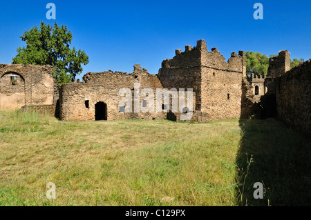 Ruins of Turkish bath, Royal Enclosure Fasil Ghebbi, UNESCO World Heritage Site, Gonder, Gondar, Amhara, Ethiopia, Africa Stock Photo