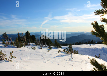 40,171.06338a Winter snow covered, beautiful rolling green forested conifer tree hills, snowy mountain landscape, blue sky wispy white clouds. Stock Photo