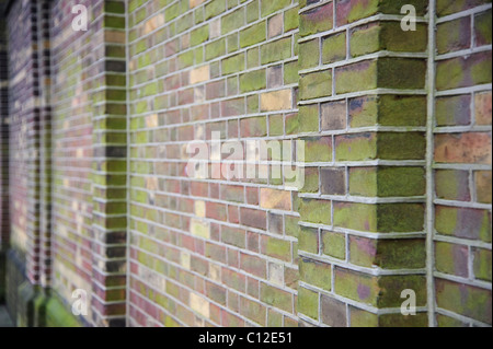 Surrounding medieval wal made of stone brick Stock Photo