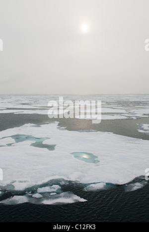 Pack Ice and fog, 81 degrees North, Svalbard, Arctic Norway Stock Photo